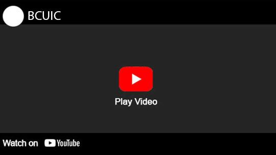 Play Video - 