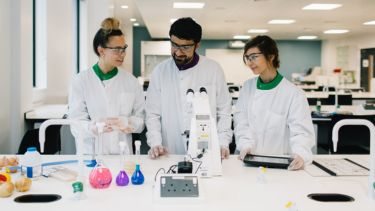 Students in a laboratory